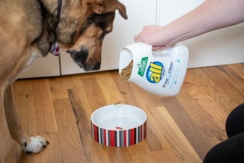 10 способов применения пластиковых бутылок 09