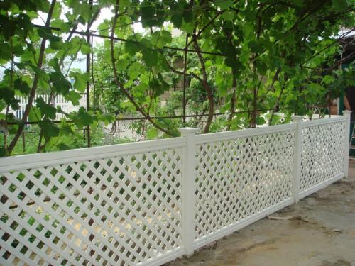 Палисадник перед домом в деревне. Определяемся со стилем