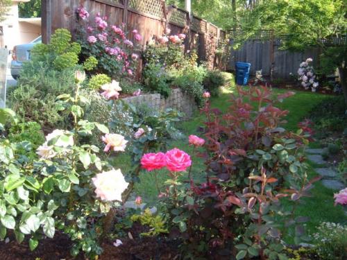 Полисадники около дома. Палисадник своими руками: из подручных средств, как оформить цветами, советы по выбору растений, примеры оформления (135 фото)