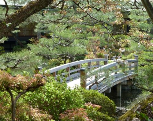 Мостик для пруда. Мостики для дачи — декоративные и стильные конструкции. 90 фото и советы по использованию в дизайне