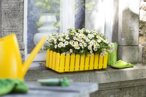 Красивые кашпо для сада своими руками. Кашпо для сада — лучшие варианты и оригинальные идеи для украшения цветов (70 фото)