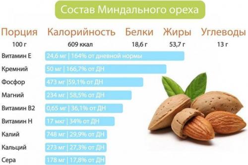 Орехи и их полезные свойства. Полезные свойства орехов 16 Орехи и их полезные свойства. Полезные свойства орехов 16
