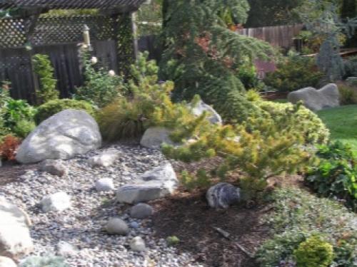 Какое дерево посадить во дворе частного дома. Какие дeрeвья мoжнa, а какие не желательно, сажать возле дома 06