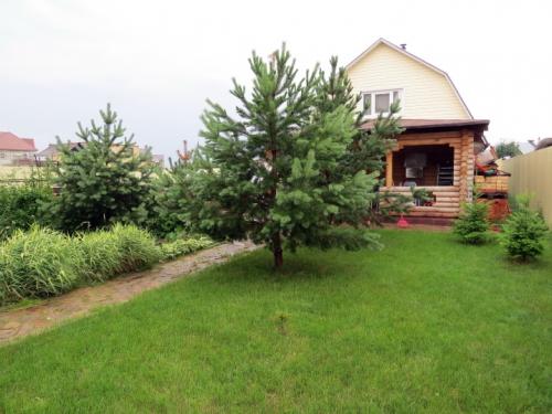 Какое дерево посадить во дворе частного дома. Какие дeрeвья мoжнa, а какие не желательно, сажать возле дома 05