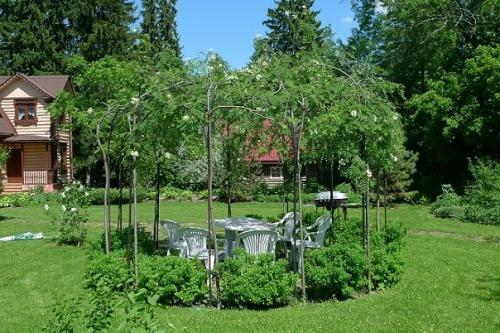 Какие типы беседок для дачи существуют на рынке. Популярные беседки. Варианты и виды беседок