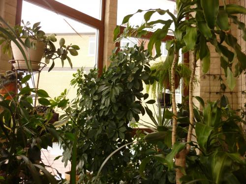 Уголок покоя и безмятежности. 5 правил создания лучшей зоны для релакса дома