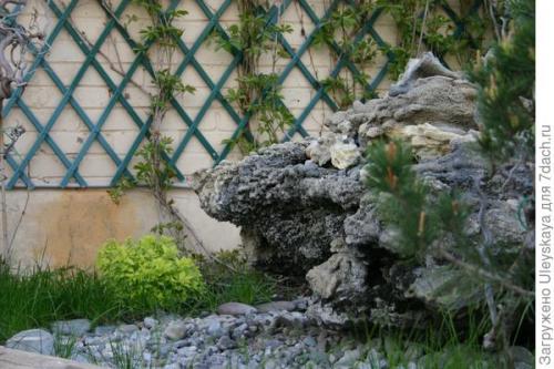 Как правильно сделать рокарий на загородном участке. Рокарий: выбор места