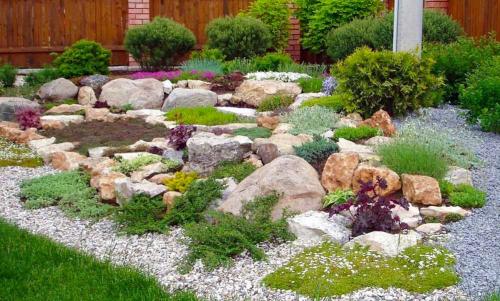 Рокарий на загородном участке: подбор материалов и инструментов 22