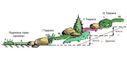 Рокарий на загородном участке: подбор материалов и инструментов 13
