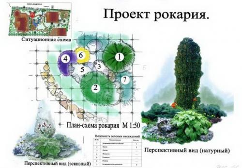 Рокарий на загородном участке: подбор материалов и инструментов 19