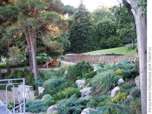 Как правильно сделать рокарий на загородном участке. Рокарий: выбор места