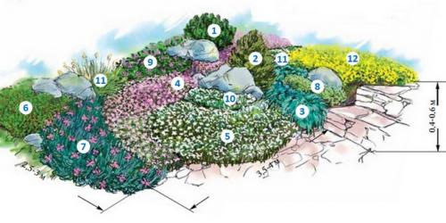 Рокарий на загородном участке: подбор материалов и инструментов 12