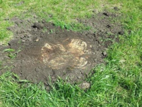 Как построить каркасную баню своими руками. Проекты, фото каркасных бань своими руками 3х4 , 4х4 м 18 Как построить каркасную баню своими руками. Проекты, фото каркасных бань своими руками 3х4 , 4х4 м 18