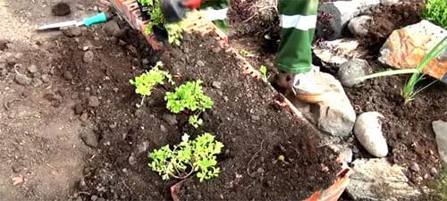 Как установить подъемник на альпийской горке на даче. Классический вариант