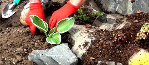 Как установить подъемник на альпийской горке на даче. Классический вариант