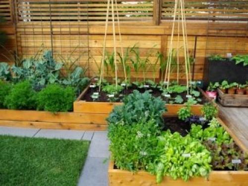 Ландшафтный дизайн дачного участка 6 соток с домом. Особенности 05