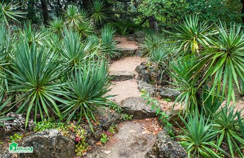 Горка ландшафтный дизайн. Виды дизайна альпийской горки