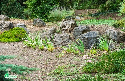 Горка ландшафтный дизайн. Виды дизайна альпийской горки