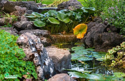 Горка ландшафтный дизайн. Виды дизайна альпийской горки