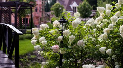 Тонкости ландшафтного дизайна земельного участка. Правила сочетания 24 Тонкости ландшафтного дизайна земельного участка. Правила сочетания 24