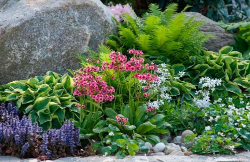 Горка ландшафтный дизайн. Виды дизайна альпийской горки