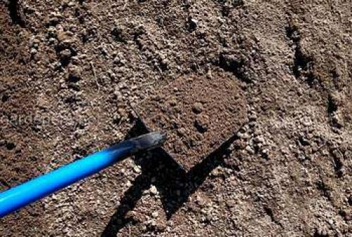 Ландшафт своими руками для начинающих. Ландшафтный дизайн своими руками для начинающих – первые шаги