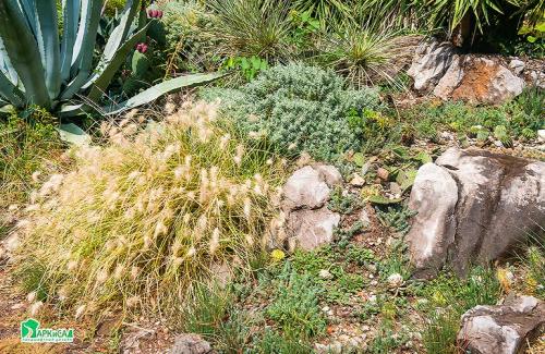 Горка ландшафтный дизайн. Виды дизайна альпийской горки