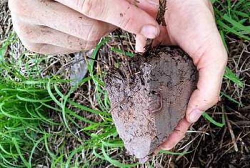 Ландшафт своими руками для начинающих. Ландшафтный дизайн своими руками для начинающих – первые шаги