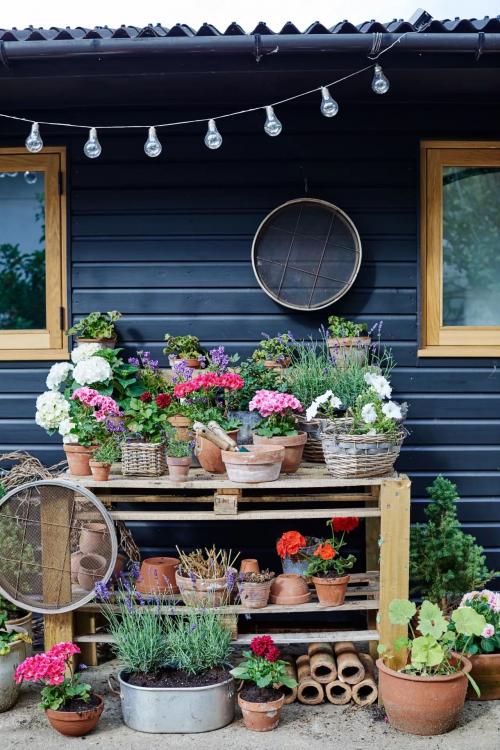 Дизайн сада и огорода в частном доме. Оригинальных идей для красивого сада (фото)