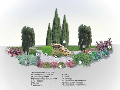 Клумба с камнями и хвойниками. Как выбирать хвойные растения для клумб