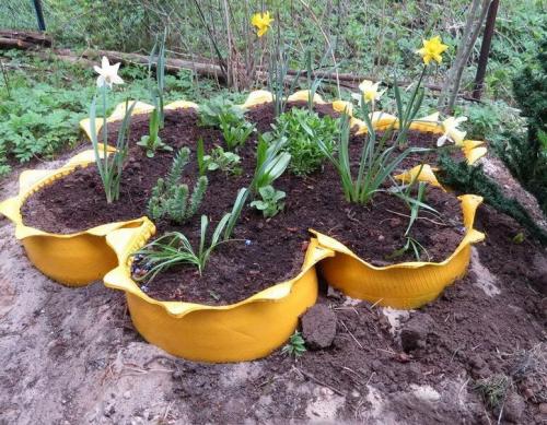 Красивые клумбы на даче своими руками. Клумбы для цветов на даче своими руками – 70 лучших вариантов