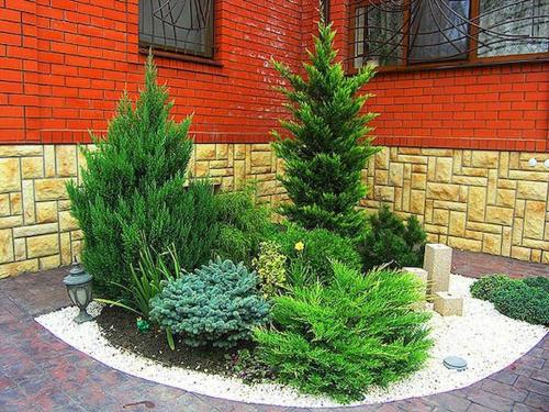 Клумба с камнями и хвойниками. Как выбирать хвойные растения для клумб