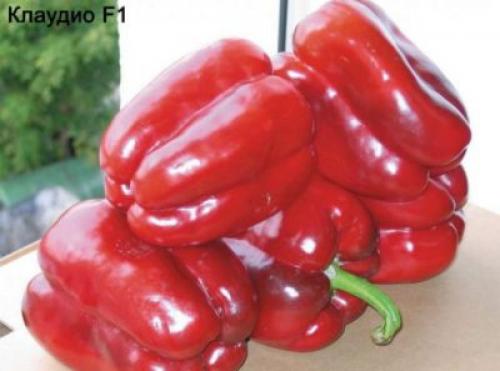 Болгарский перец сорта. Рейтинг лучших сортов перца для ОГ 02