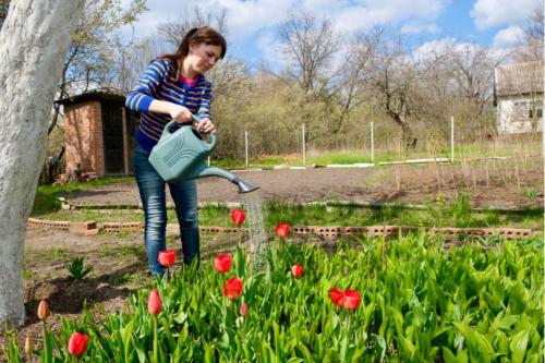 Идеи ландшафтного дизайна своими руками. Своими руками или под ключ