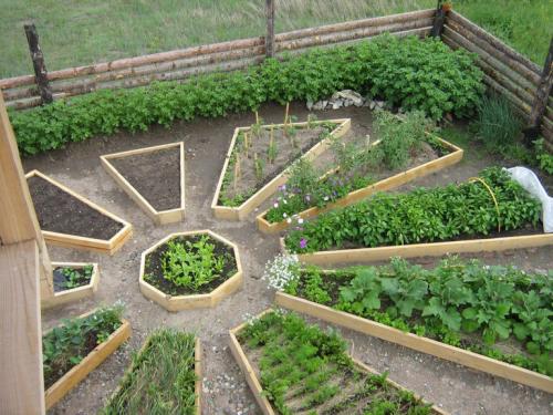 Дизайн огорода в частном доме своими руками. Как устроить красивый огород в частном доме с грядками (29 фото)