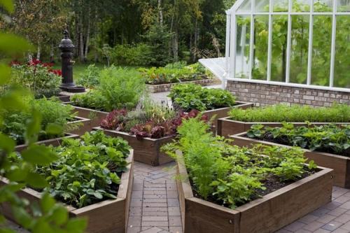 Дизайн огорода в частном доме своими руками. Как устроить красивый огород в частном доме с грядками (29 фото)