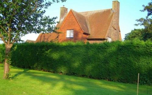 Модные приёмы в ландшафтном дизайне. 11 модных приемов ландшафтного дизайна 25