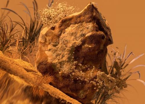 Тренды в ландшафтном дизайне 2023. Цвет 2023 года по версии WGSN  COLORO