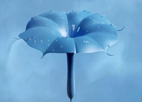 Тренды в ландшафтном дизайне 2023. Цвет 2023 года по версии WGSN  COLORO