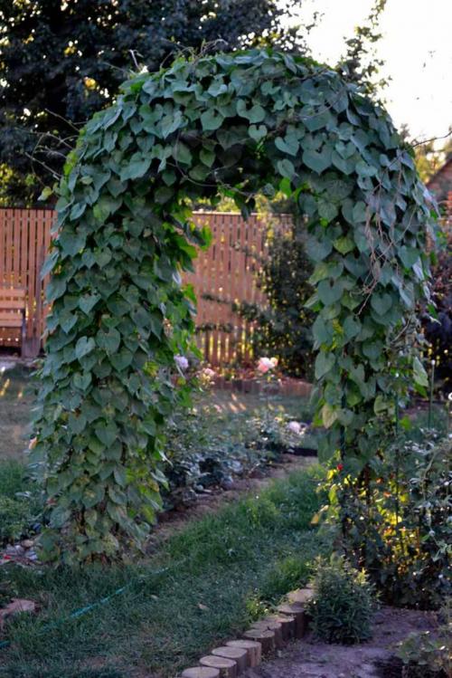 Арка в ландшафтном дизайне. Красивая садовая арка: стильные и оригинальные арки и их применение в ландшафтном дизайне (95 фото + видео)