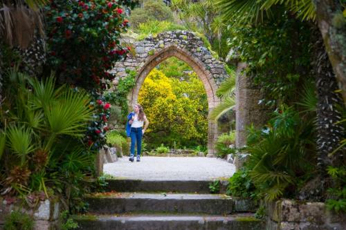 Арка садовая. Садовая арка — советы и инструкции по постройке своими руками (120 фото-идей)