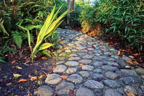105 красивых идей, как организовать клумбу из камней.. Самые свежие и оформления сада камнями в 2022 03