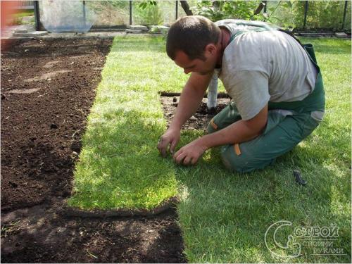 Сад камней своими руками. Стиль Страны восходящего солнца 01