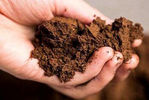 Ландшафтный дизайн своими руками для начинающих – первые шаги