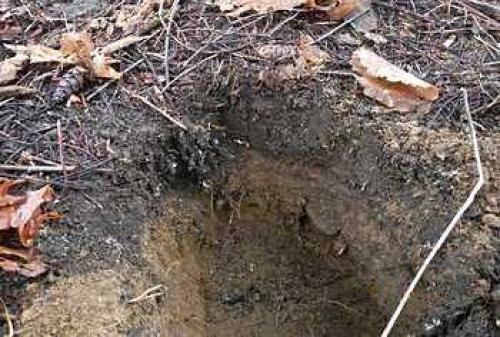 Ландшафтный дизайн своими руками для начинающих – первые шаги