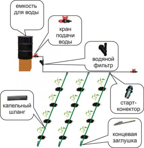 Капельный полив без водопровода. Составляющие и варианты компоновки