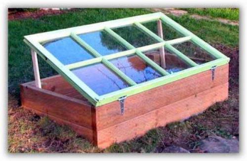 Парник для перцев своими руками. Парник своими руками