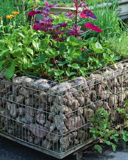 Габионы для цветов своими руками. Габионы своими руками: 2 мастер-класса