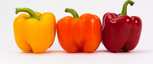 Как выглядит болгарский перец. Рейтинг семян перца с описанием и фото 06 Как выглядит болгарский перец. Рейтинг семян перца с описанием и фото 06