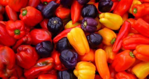 Как выглядит болгарский перец. Рейтинг семян перца с описанием и фото 07